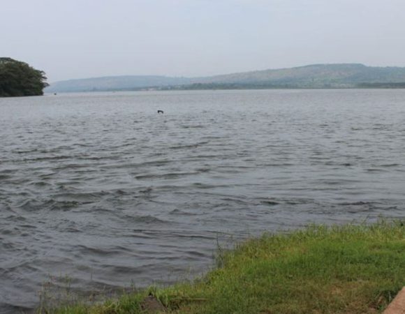 Things to know about Source of the Nile Experience